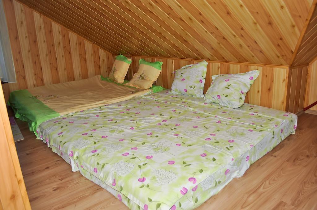 Casa Lidia Hotel Lepşa Pokój zdjęcie