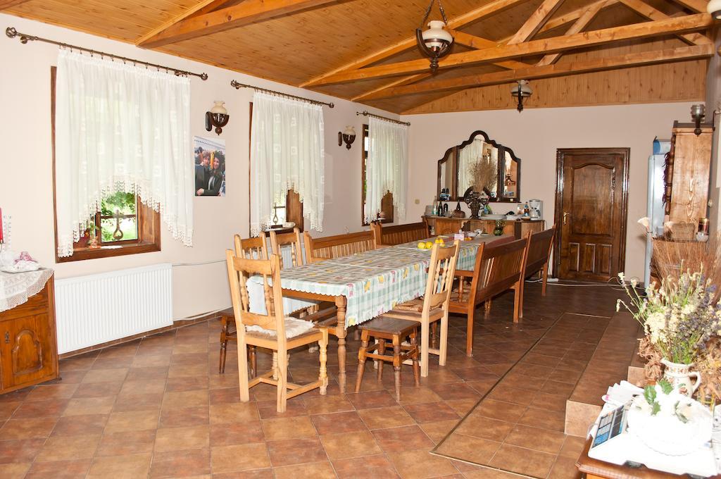 Casa Lidia Hotel Lepşa Zewnętrze zdjęcie