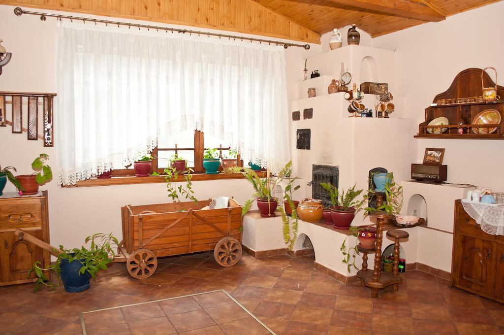 Casa Lidia Hotel Lepşa Zewnętrze zdjęcie