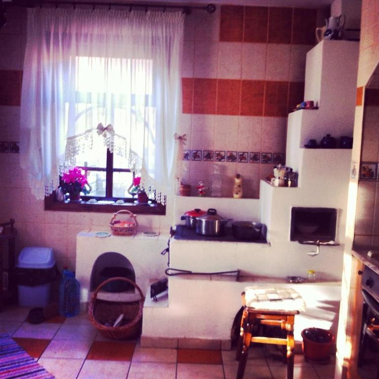 Casa Lidia Hotel Lepşa Zewnętrze zdjęcie